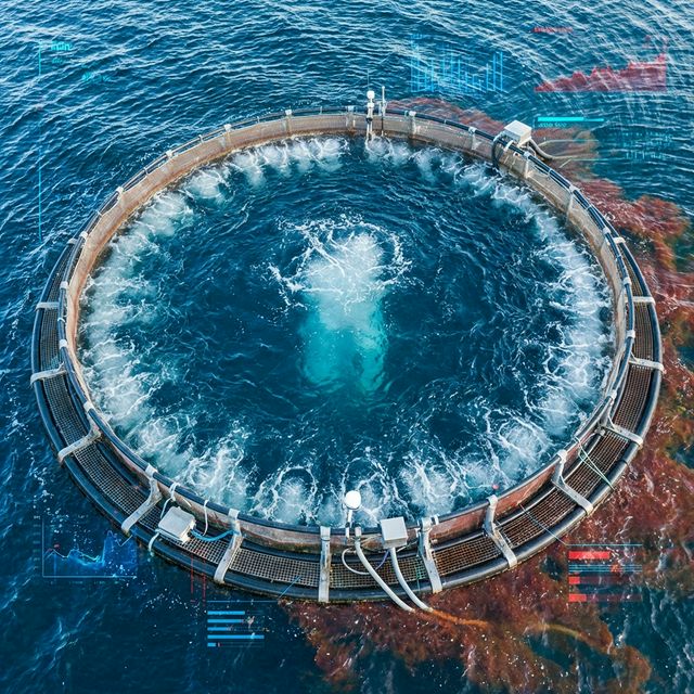 Validación Científica: El Sistema de Surgencia de Imenco Aqua Lidera en Mitigación de FANs